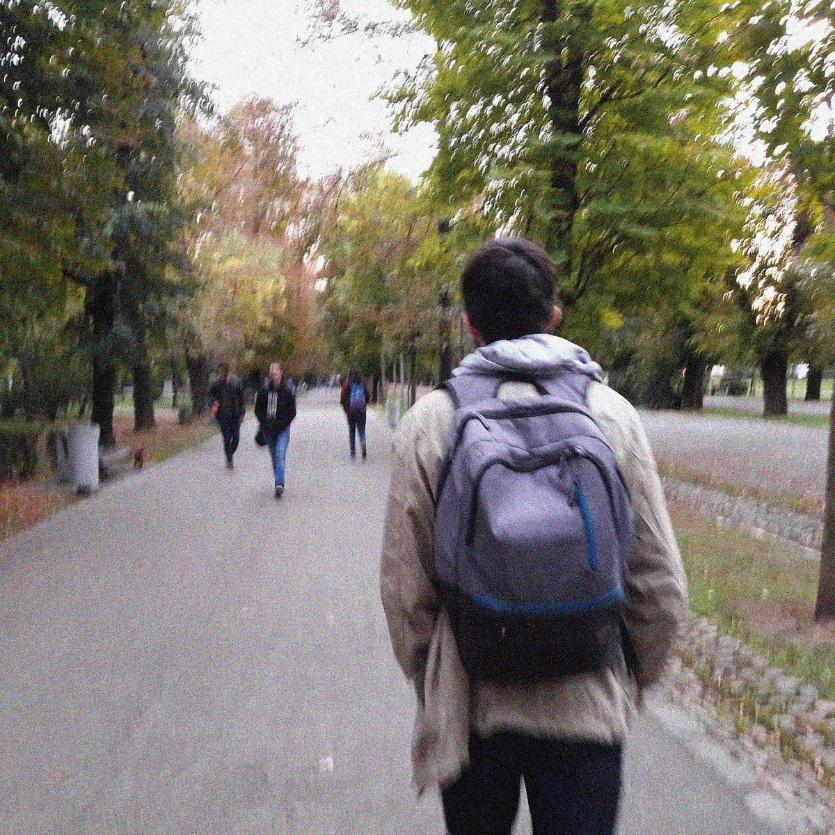 O Zi de Toamnă în Cluj
